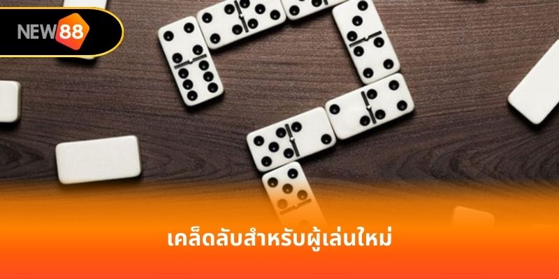 เคล็ดลับสำหรับผู้เล่นใหม่